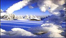Nordic Snow
            Scene